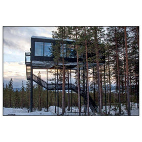 ACC Art Books Ltd - Tree Houses - 0