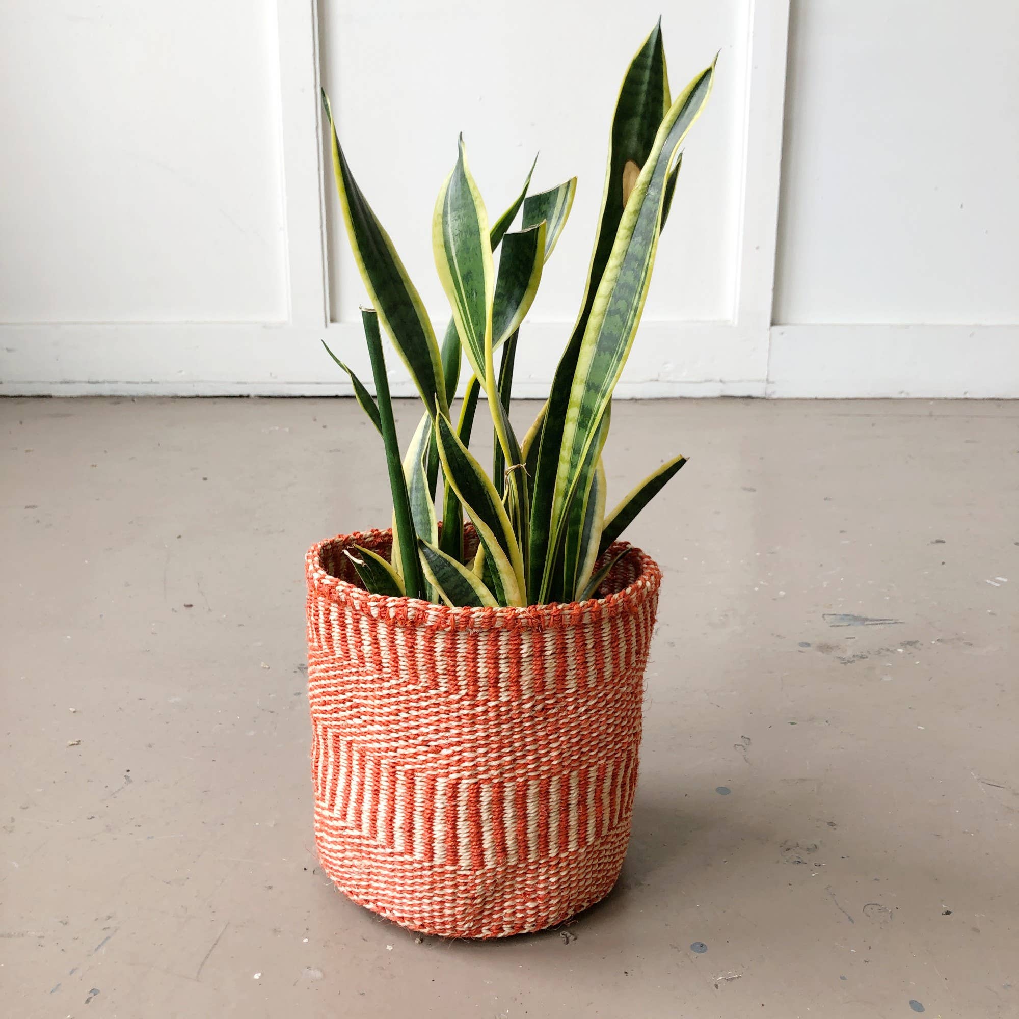 Amsha - Storage Plant Basket: Tomato: XS (6"x6") White Stripe
