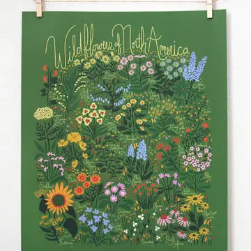 Wildflowers of North America Green Poster