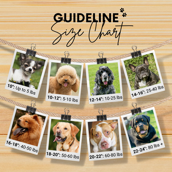 Sambboho - Boho Chic Sambboho Dog Collar: 10-12"