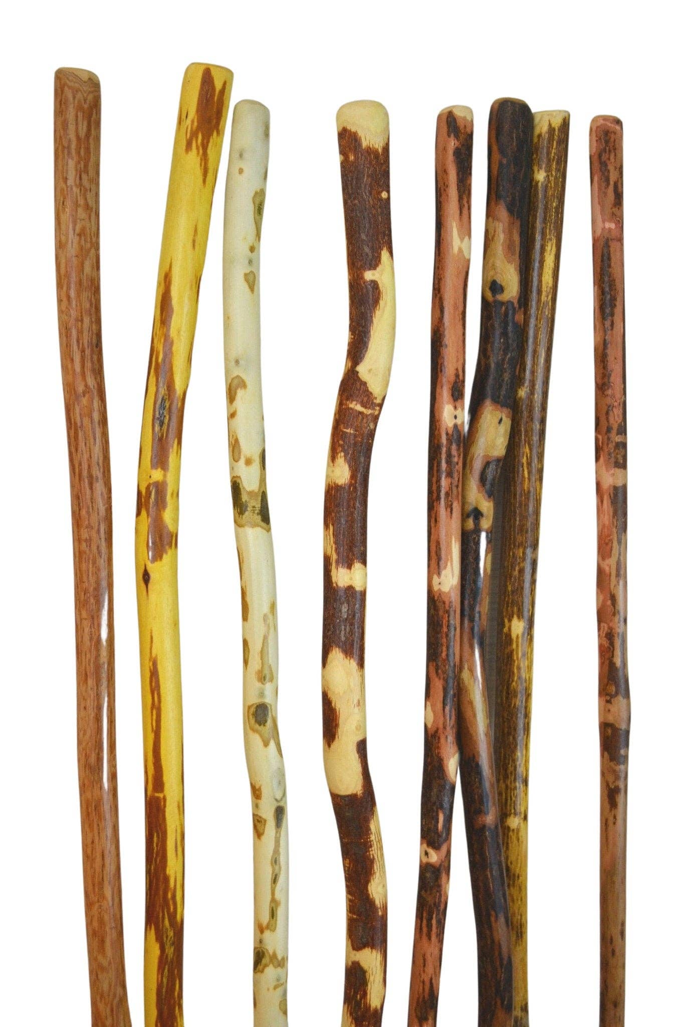Creation Carvings LLC - Walking Stick, Up to 72" Adult Hiking Stick: 58"