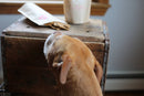 Vermont Dog Eats - Tico's Tasties-4
