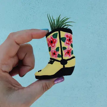 O'Berry's Succulents Air Plant Planters