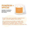 Calyan Wax Co. - Pumpkin + Spices - Clear Glass Tumbler Soy Candle