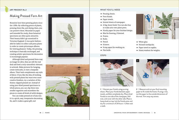 Microcosm Publishing & Distribution - Ferns: Indoors - Outdoors - Growing - Crafting