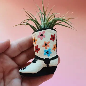 O'Berry's Succulents Air Plant Planters