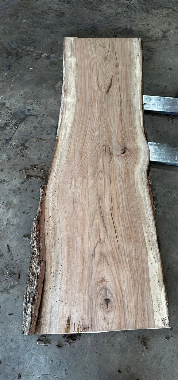 Unfinished Live Edge Pecan Slab (ULES-2340)