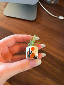 O'Berry's Succulents Air Plant Planters-14