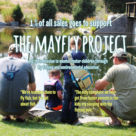 Caroline Clark - Zion National Park 18"x24" Screen Print - 0