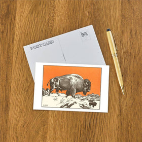 Found Image Press - Postcard WD-27 Bison - 0