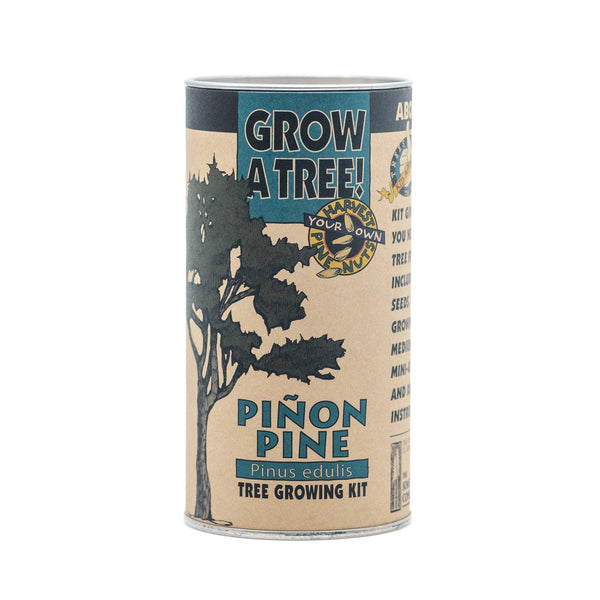 The Jonsteen Company - Piñon Pine | Seed Grow Kit