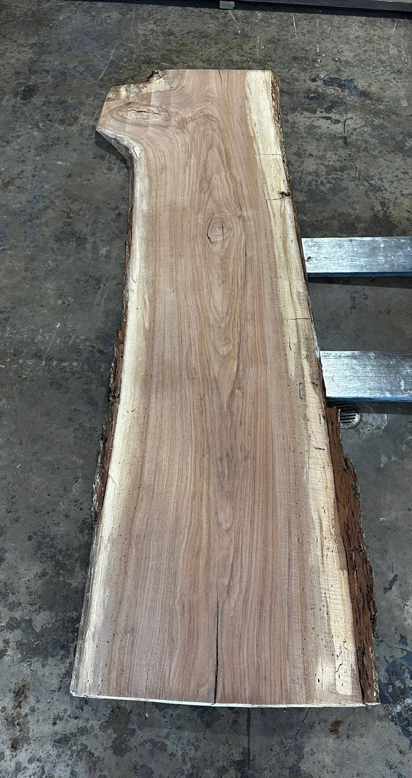 Unfinished Live Edge Pecan Slab (ULES-2337)