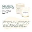 Evergreen + Eucalyptus Glass Tumbler Soy Candle