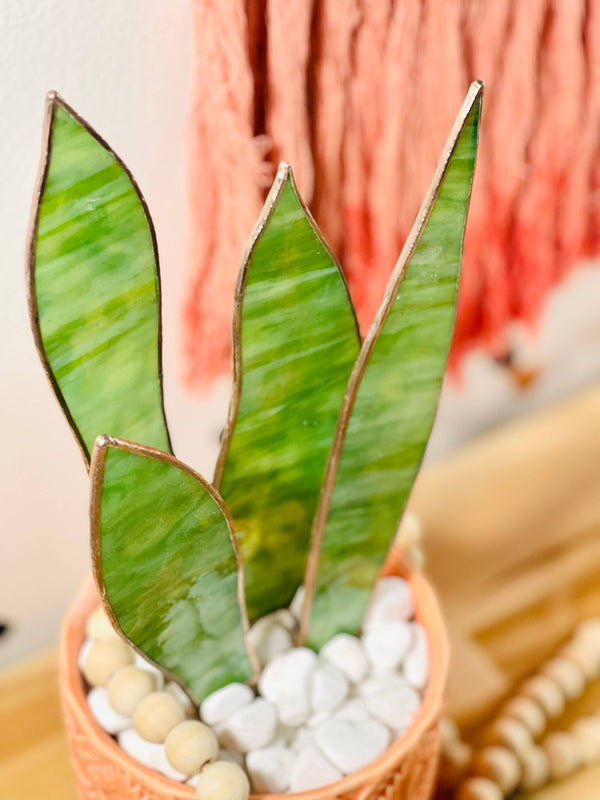 Samara Designs Studio - Stained Glass Snake Plant