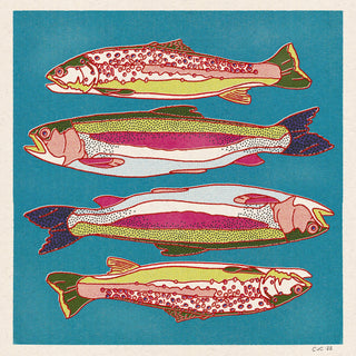 Rainbow and Brown Trout 12x12 Print