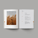 Alabaster Co - The Good and Beautiful Bible Study-8