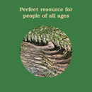 Chronicle Books - Forest School for Grown-Ups-4