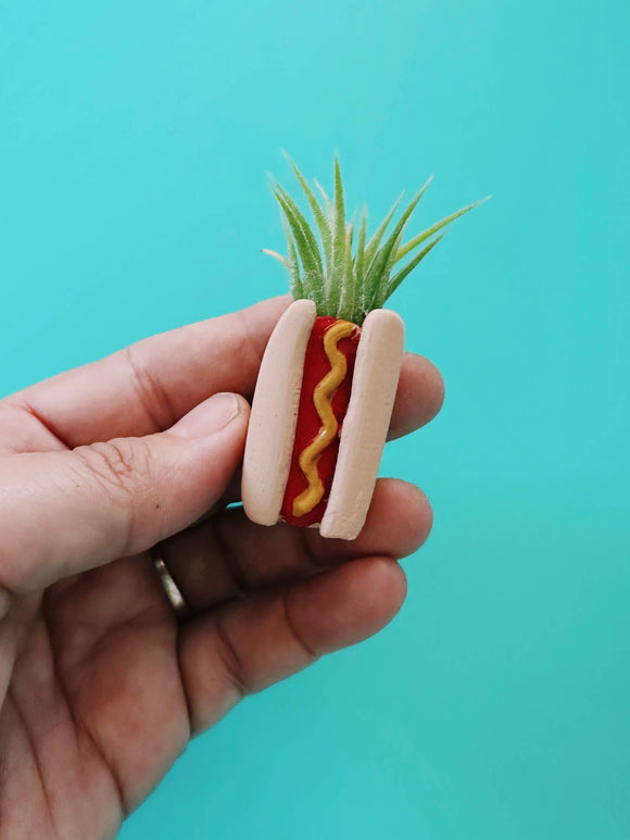 O'Berry's Succulents - Hotdog Mini Planter and Plant