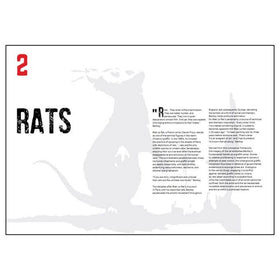 ACC Art Books Ltd - Banksy Museum: Complete Catalog - 0