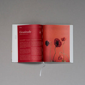 Alabaster Co - The Prayer Journal: $25 - Hardcover - 0