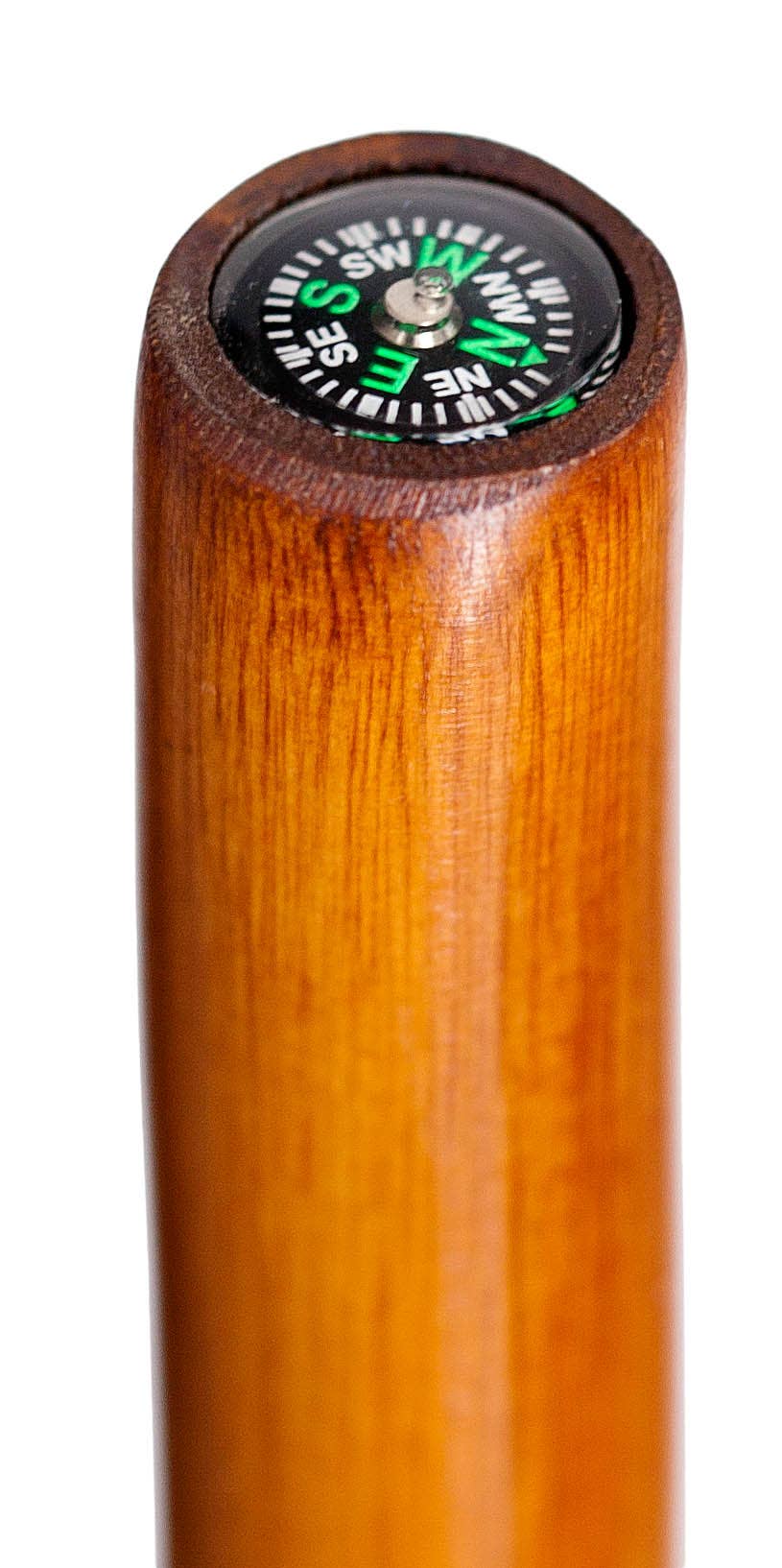 Walking Sticks