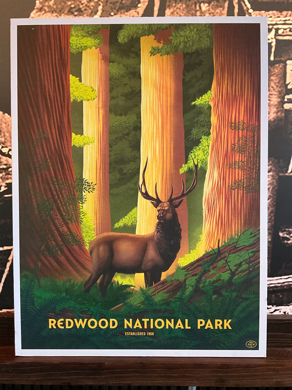 Redwood National Park Poster Board