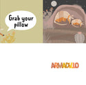 Gibbs Smith - Grab Your Pillow, Armadillo: A Silly Book of Fun Goodnights