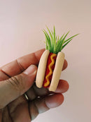 O'Berry's Succulents - Hotdog Mini Planter and Plant-2
