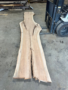 Unfinished Live Edge Pecan Slab (ULES-2913)