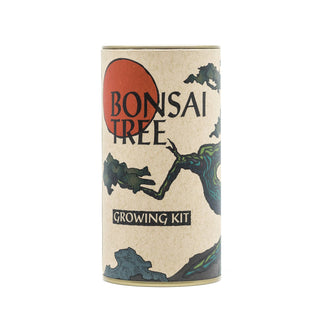 The Jonsteen Company - Bonsai Tree | Seed Grow Kit: Chinese Juniper