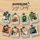 Sambboho - Sardinia Sambboho Dog Collar (Glam Collection): 12-14"-7