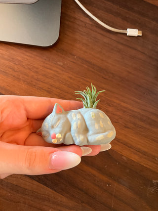Buy cat Mini Air Plant Planters