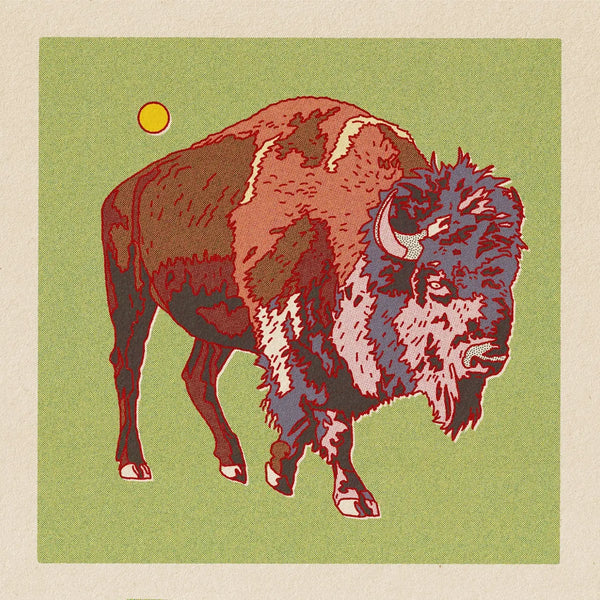 Bison/Buffalo 12x12 Print