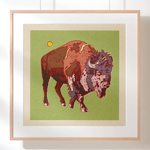 Caroline Clark - Bison/Buffalo 12x12