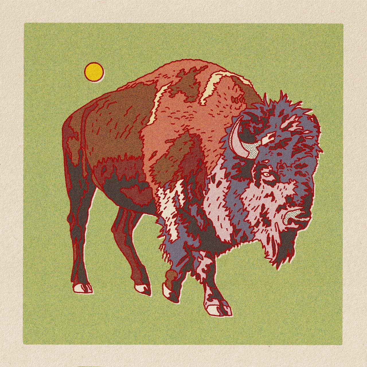 Caroline Clark - Bison/Buffalo 12x12 - 0