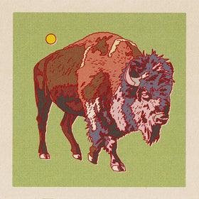 Caroline Clark - Bison/Buffalo 12x12 - 0