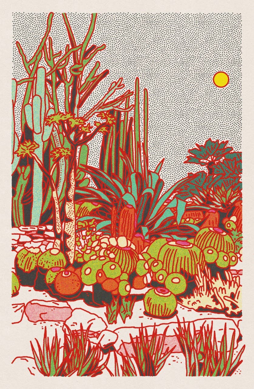 Caroline Clark - Cactus Planet #5 24"x36" Print