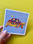 Caroline Clark - Desert Animal Postcard Set-4