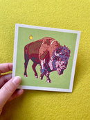 Caroline Clark - Desert Animal Postcard Set-5