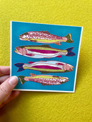 Caroline Clark - Desert Animal Postcard Set-6