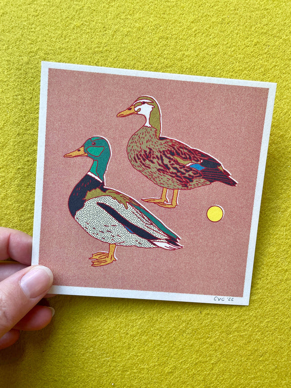 Caroline Clark - Desert Animal Postcard Set