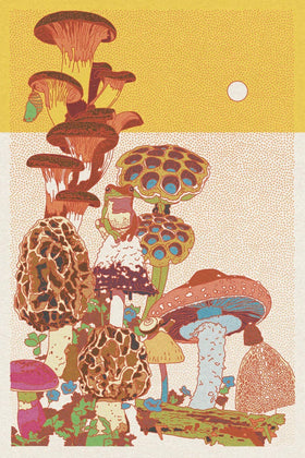 Caroline Clark - Mushroom Planet 1 Print 24"x36"