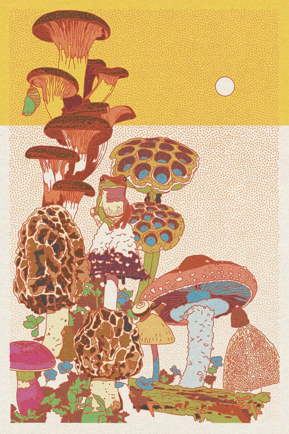 Caroline Clark - Mushroom Planet 1 Print 24"x36"