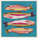 Rainbow and Brown Trout 12x12 Print-2