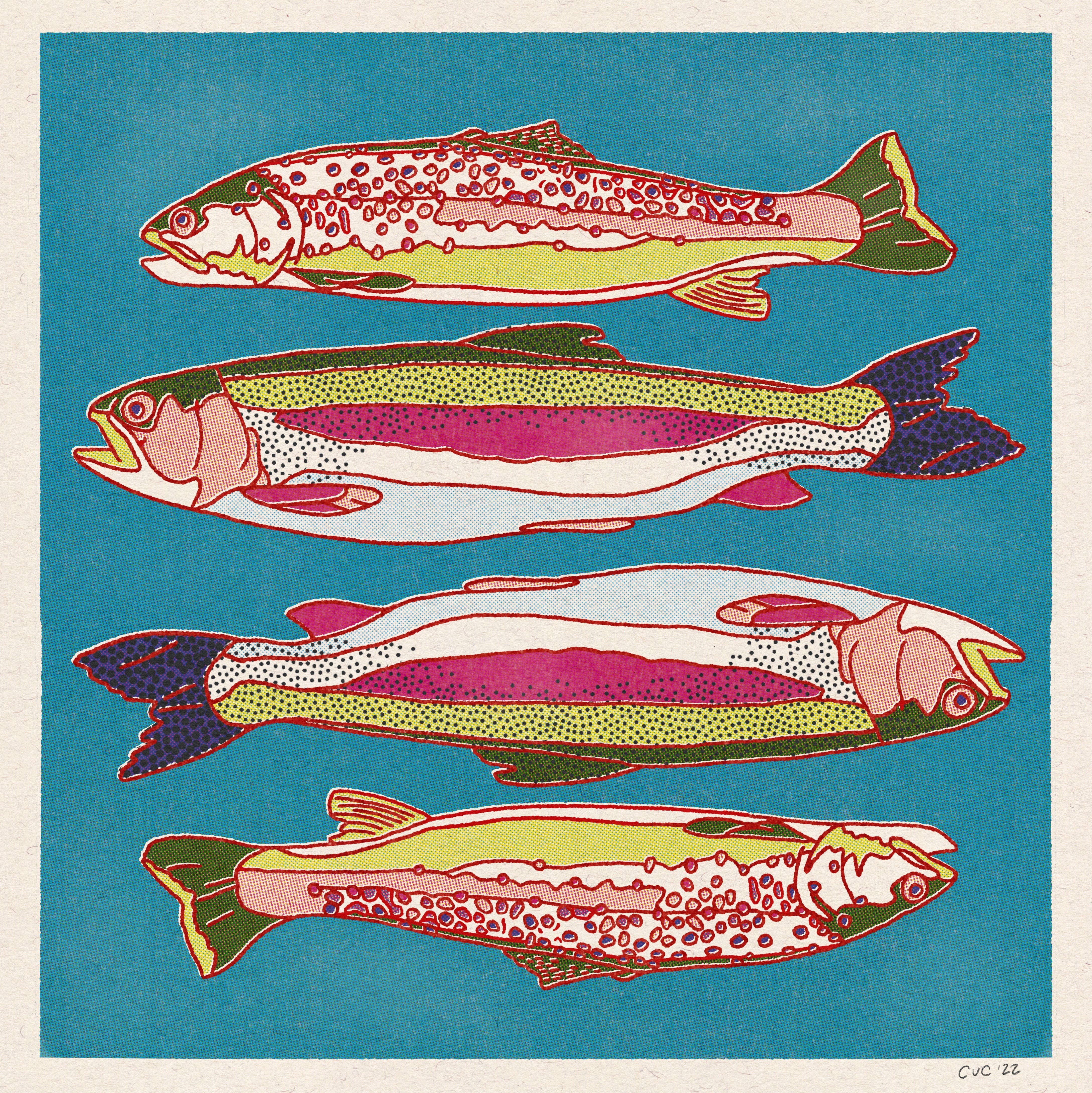 Rainbow and Brown Trout 12x12 Print - 0