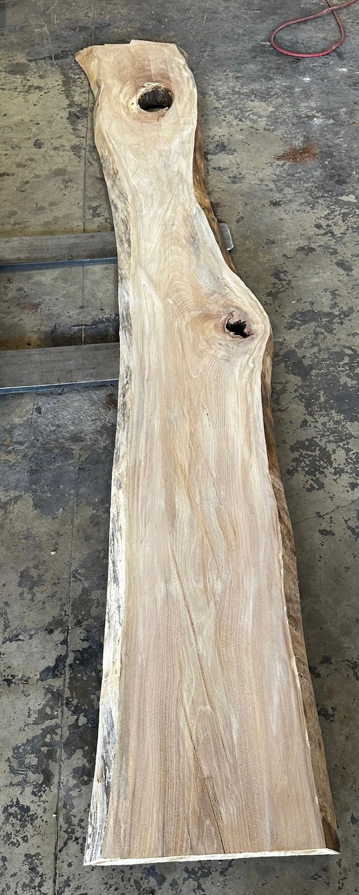 Unfinished Live Edge Sycamore Slab (ULES-2326) | The Forest Store