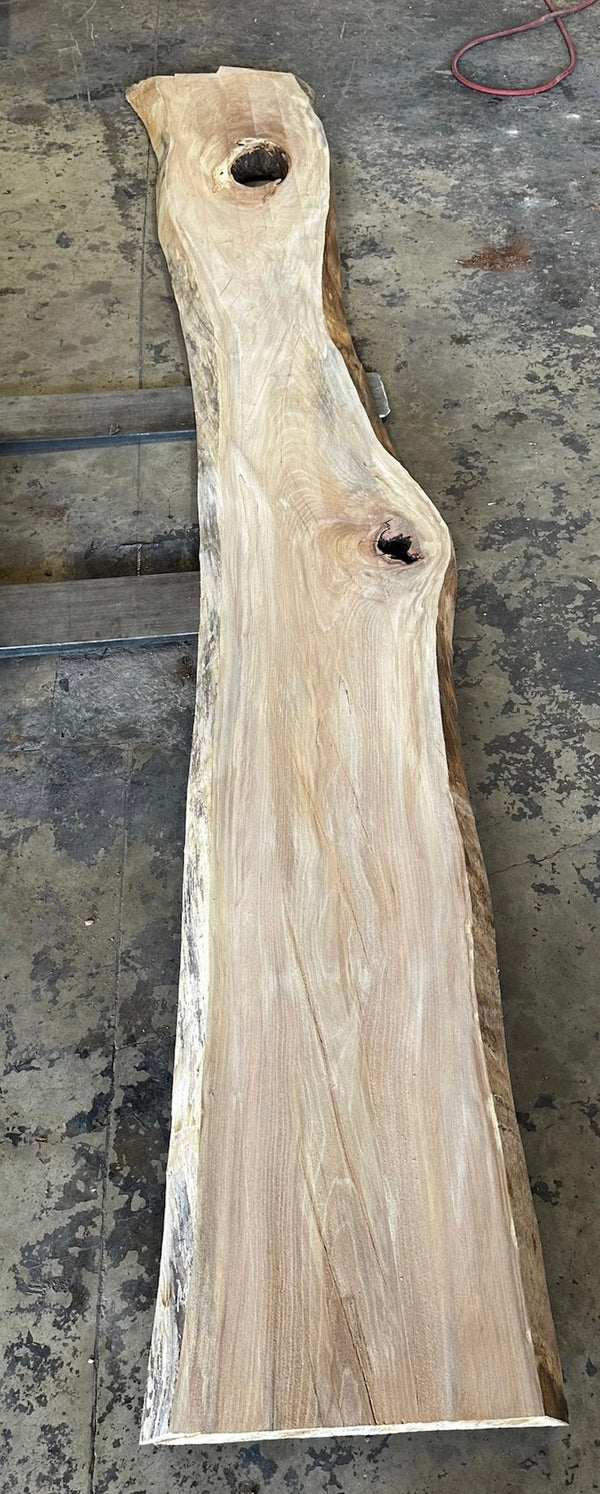 Unfinished Live Edge Sycamore Slab (ULES-2326)