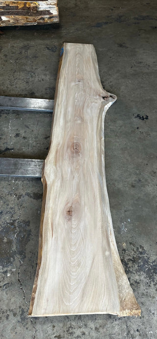 Unfinished Live Edge Sycamore Slab (ULES-2898)