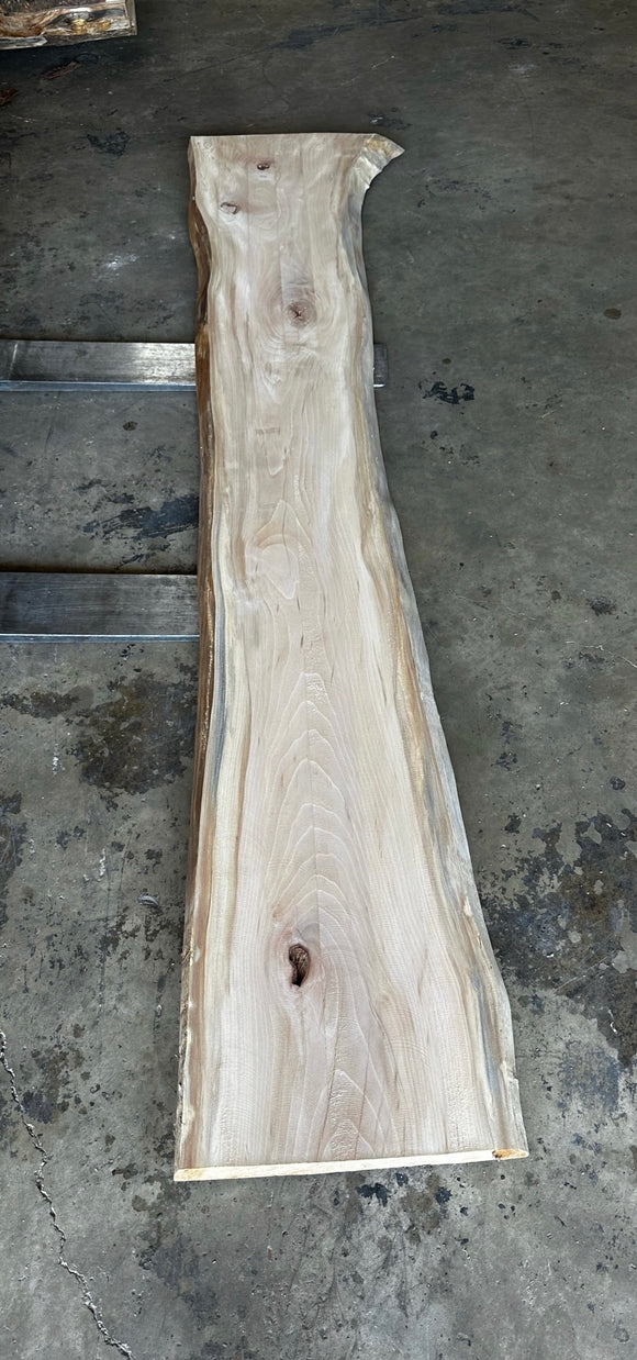 Unfinished Live Edge Sycamore Slab (ULES-2894)