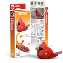 EUGY Cardinal 3D Puzzle-1